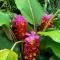 This place is different!! Award winning! Oceanfront, View View! - Wailuku