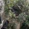 Tulum Boho beautiful Apt special fee for Bardo daypass - تولوم
