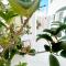 Joelia Suites in Naousa Paros with private jacuzzi! - 纳乌萨