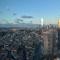 Most lavish apt 40 Floor skyviwe ist - Стамбул