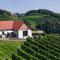 Chalet Sgarz