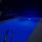 Luxe Home in Lecanto with Pool - Lecanto