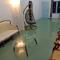 Oikos Green Homestay - by Login