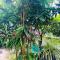 Janakas House