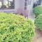 Kwa-Bosslady Guesthouse