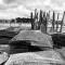 T3 duplex Port de La Teste Bassin d Arcachon - لا تاسْتْ دو بوك