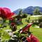 Apartment in Mittersill - Salzburger Land 45727