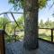 Hawk's Rest - Oakhurst