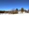 Fireplace, Ski-Okemo, Apple Trees, Piano, Amazing Views, Firepit, Priory, Pool, Fields, Theatre! - Weston