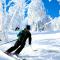 Fireplace, Ski-Okemo, Apple Trees, Piano, Amazing Views, Firepit, Priory, Pool, Fields, Theatre! - Weston