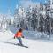 Fireplace, Ski-Okemo, Apple Trees, Piano, Amazing Views, Firepit, Priory, Pool, Fields, Theatre! - Weston
