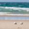 Classic Beach House on Surfside - Pet Friendly