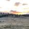 Luxury country guesthouse on large cattle station