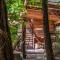 Lofts in The Forest
