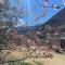 CABAÑA DEL RIO - ruta internacional 7 - kilometro 1108 Potrerillos