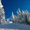 Bluebird Day - Haven - Bend
