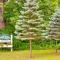 Mountain Views Beautiful Nestlenook Farm Home! - 杰克逊