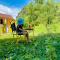 Huy-Homestay