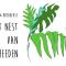 T Nest van Heeden