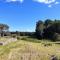 Historic Farm on 96 Acres!