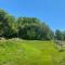 Historic Farm on 96 Acres!