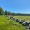 Historic Farm on 96 Acres!