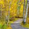 Meadow's Edge - Black Butte Ranch
