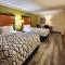La Quinta Inn by Wyndham Amarillo West Medical Center
