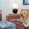 Home2 Suites by Hilton Buffalo Airport/ Galleria Mall