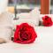 Apartment Rosablanche 205 by Interhome