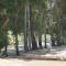 Camping International