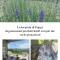 La lavanda di Poppi-mini appartamento - 波皮