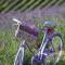 La Lavandula - 波皮