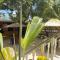 Kuda Vilu, Mathiveri, Maldives - Mathiveri