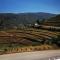 Casa Das Origens, vue sur la vallée du Douro - 梅桑弗里乌