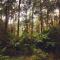 Paradiso Kinglake