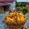 Casa de la Fermă Corund - Farmer Kulcsosház Korond