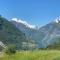 Tømmerhus i Geiranger Sentrum med panorama utsikt - 盖郎厄尔峡湾