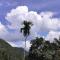 Himadri munnar holidays