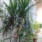 Dimora Boezio7, cozy and charming place in center with private parking