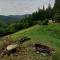 Tree house with private meadow in the middle of the forest - Bytca