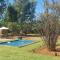 Vultures View 3