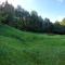 Tree house with private meadow in the middle of the forest - Bytca