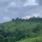 Vagamon Springs