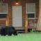 Foto: Bella Coola Grizzly Tours Cabins 13/151