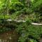 Quiet 3 bedroom house 2 min walk from UNESCO shrines - 日光
