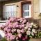 Charming house Panacea