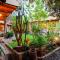 Casa Aurora Garden Retreat
