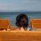 All Seasons Sevan