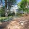 Deodar Cottage Amid Century Old Trees